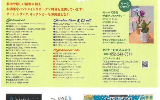 20260320フラリエ　多肉のサムネイル